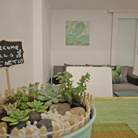 Cactus 아파트 말라가