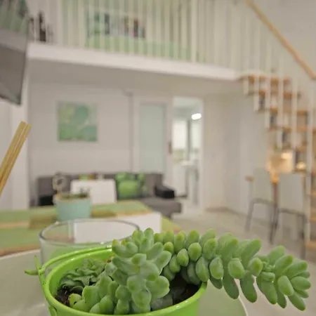 Cactus 아파트 *